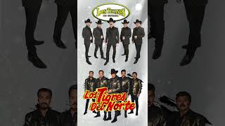 Los Tucanes De Tijuana, Los Tigres Del Norte, Grupo Exterminador  Puros Corridos mp4