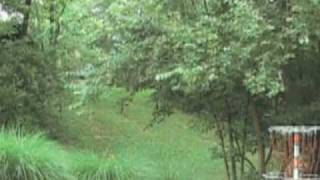 Disc Golf Ace Practice shot hole 16 Woodland Park Jason Roberts