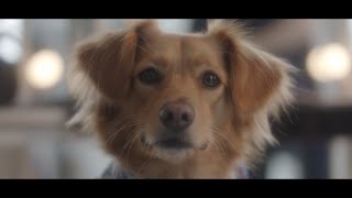 La Battue - Get Set, Go ! (Official video)