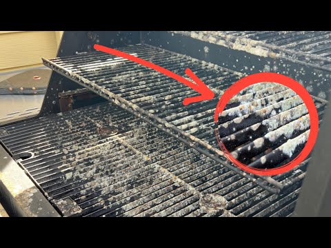 Cleaning Masterbuilt 1050 BBQ | How To Clean a Masterbuilt BBQ | Moldy BBQ