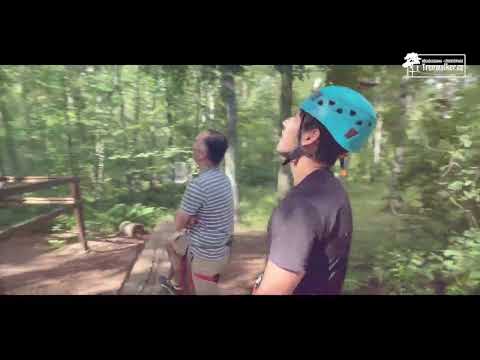 TreeWalker Summer 2023 FULL