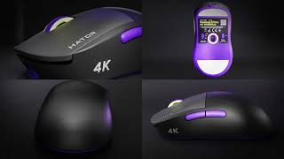 Heim HATOR Offizielle Website