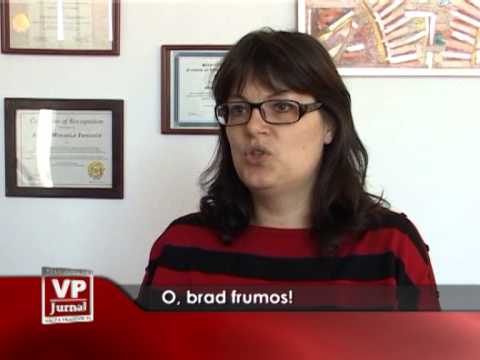 O, brad frumos!