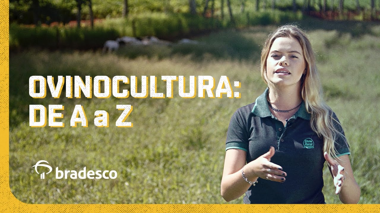 Ovinocultura: de A a Z