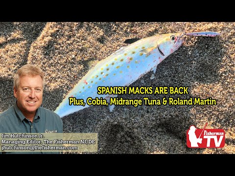 July 14, 2022 New Jersey/Delaware Bay Fishing Report with Jim Hutchinson, Jr.