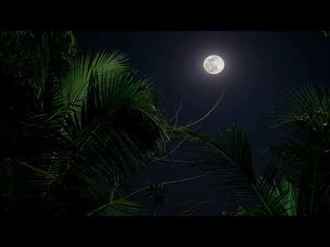 Jabzz Dimitri Feat. Dudu Makhoba - Siyabonga (Original Mix)