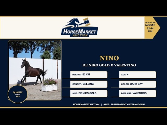 Nino