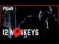 Crossing The Berlin Wall 12 Monkeys TV Series Fear