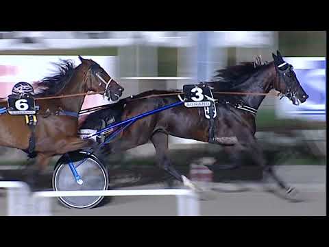 Napoli Trotto 01/09/2023 - 5ª corsa