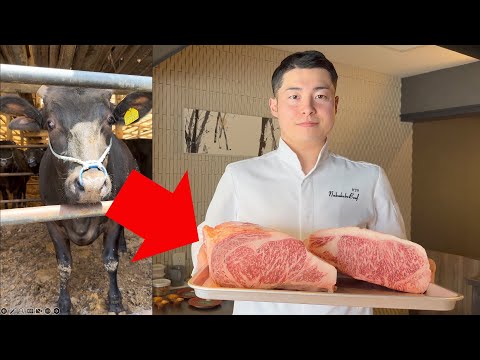 , title : 'Visit production sites and learn about the process of  WAGYU beef - New Project - from Farm to Table'