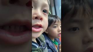 Experience the electric train