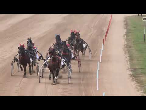 2022.11.12. 09. futam - UKSS - BEOGRAD DÍJ