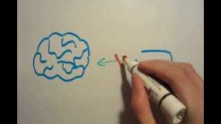 Explaincast: The Knee Jerk Reflex Explaincast: The Knee Jerk Reflex