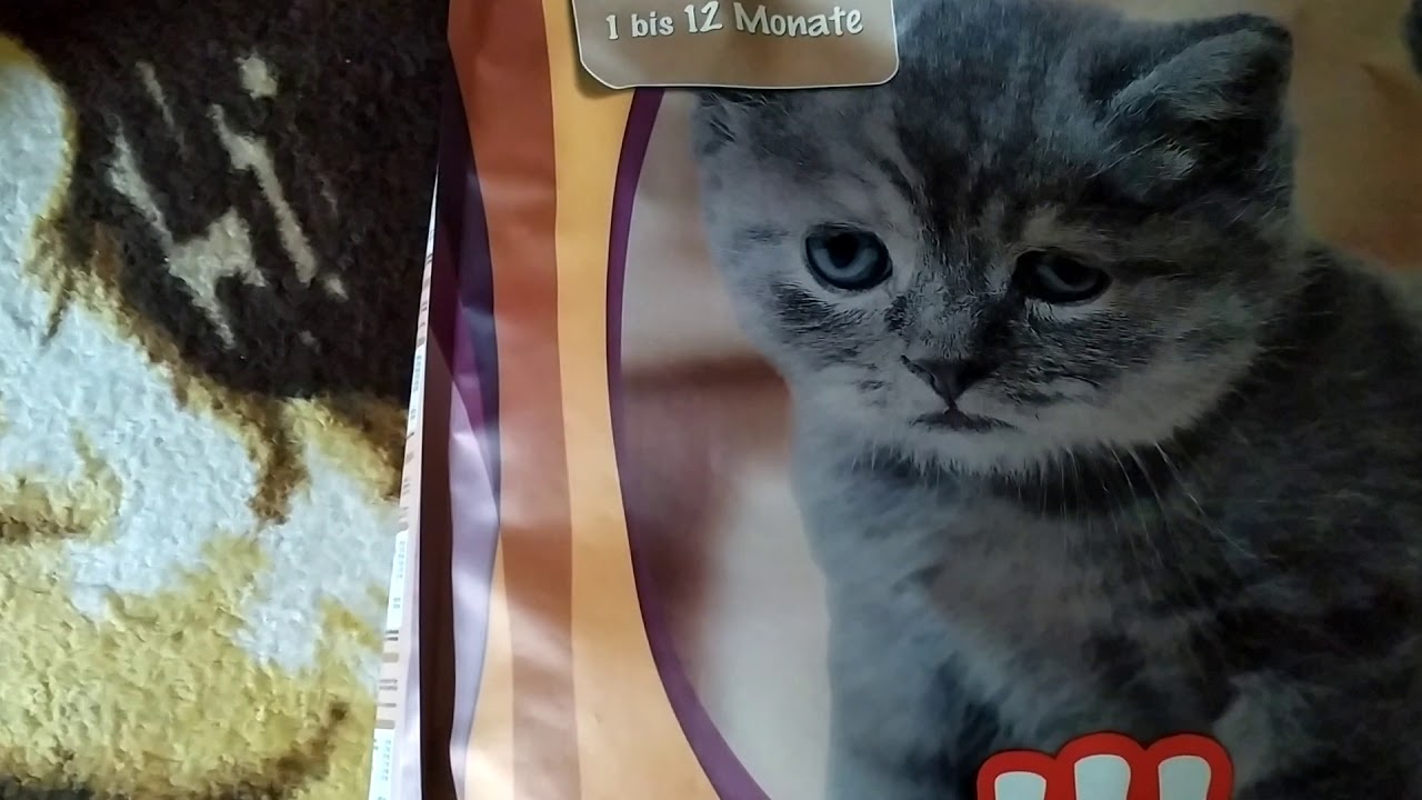 Grześ z Leszna nas zaskoczył - kupił nam w ZOOPLUS 10 kg karmy SMILLA Kitten : 12.06.2019/17:03