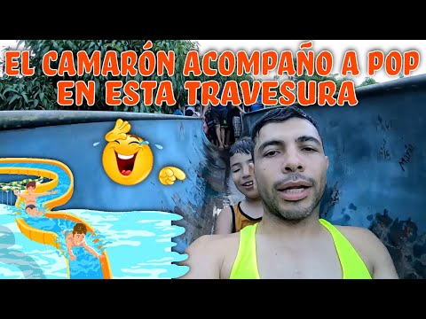 download lagu mp3 mp4 El Encanto Del Caballero Y Su Tv, download mp3 El Encanto Del Caballero Y Su Tv free download mp3, download mp3 El Encanto Del Caballero Y Su Tv