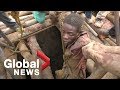8 Found Alive After Flooding Of Zimbabwe Mine