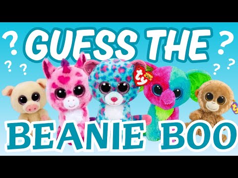 Can YOU Name these FOGOTTEN Beanie Boos?
