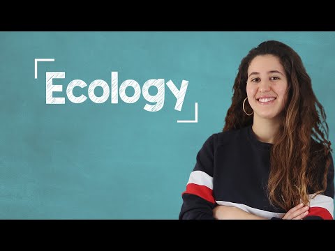 lingoni FRENCH 1 Modes et temps rappel B2