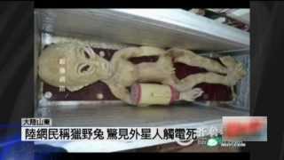 [問卦] 外星人有一天也可能變中共同路人嗎？