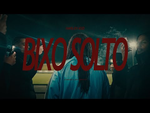 Harley KSD - BIXO SOLTO