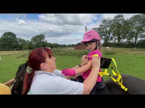 Fitting the Equihandee Harness