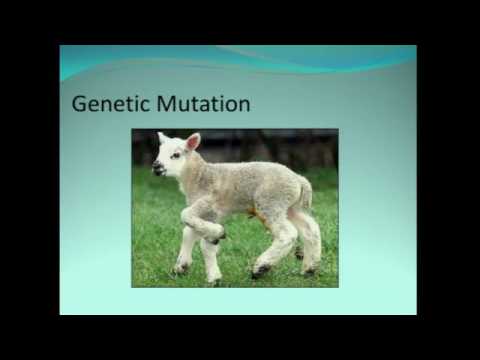 Mojka Renaud Dr David Kurss 2013 on KANGEN WATER