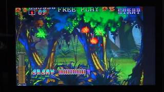 Lord Of Gun: Arcade (Extreme Flashes)