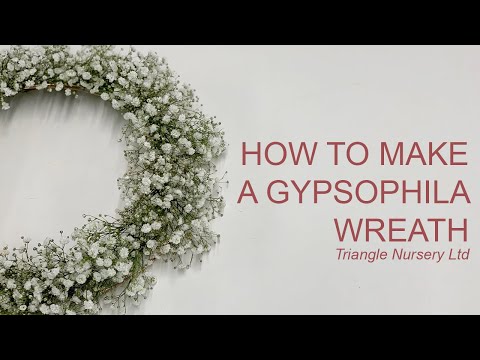 download lagu mp3 mp4 12 Wreath Ring, download lagu 12 Wreath Ring gratis, unduh video klip 12 Wreath Ring
