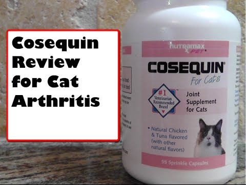 COSEQUIN REVIEW FOR CAT ARTHRITIS