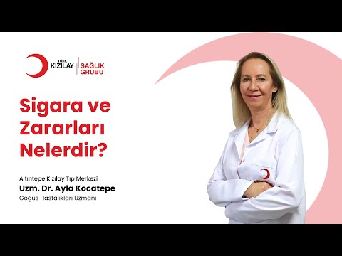 Ayla Kocatepe-4