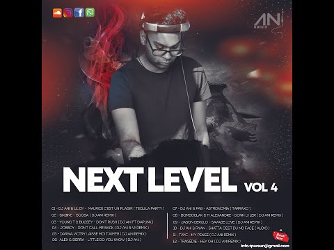 DARINA VICTRY - LAISSE MOI T'AIMER ( DJ ANI REMIX )