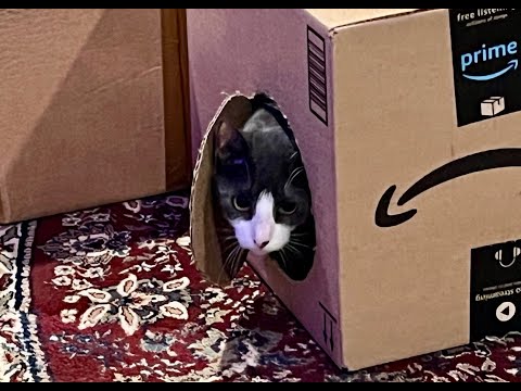 Coffee With Scott Adam 12/28/25