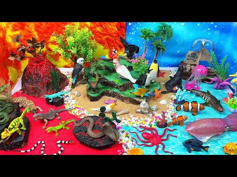 🌋🦜🌊 Vulkanland, Vogelinsel & Ozeanwelt entdecken | Lustiges Tierdiorama