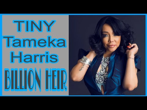 Net Worth Tiny