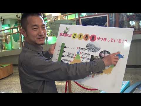 12 Yakushima Environmental and Cultural Village Center 屋久島環境文化村センター