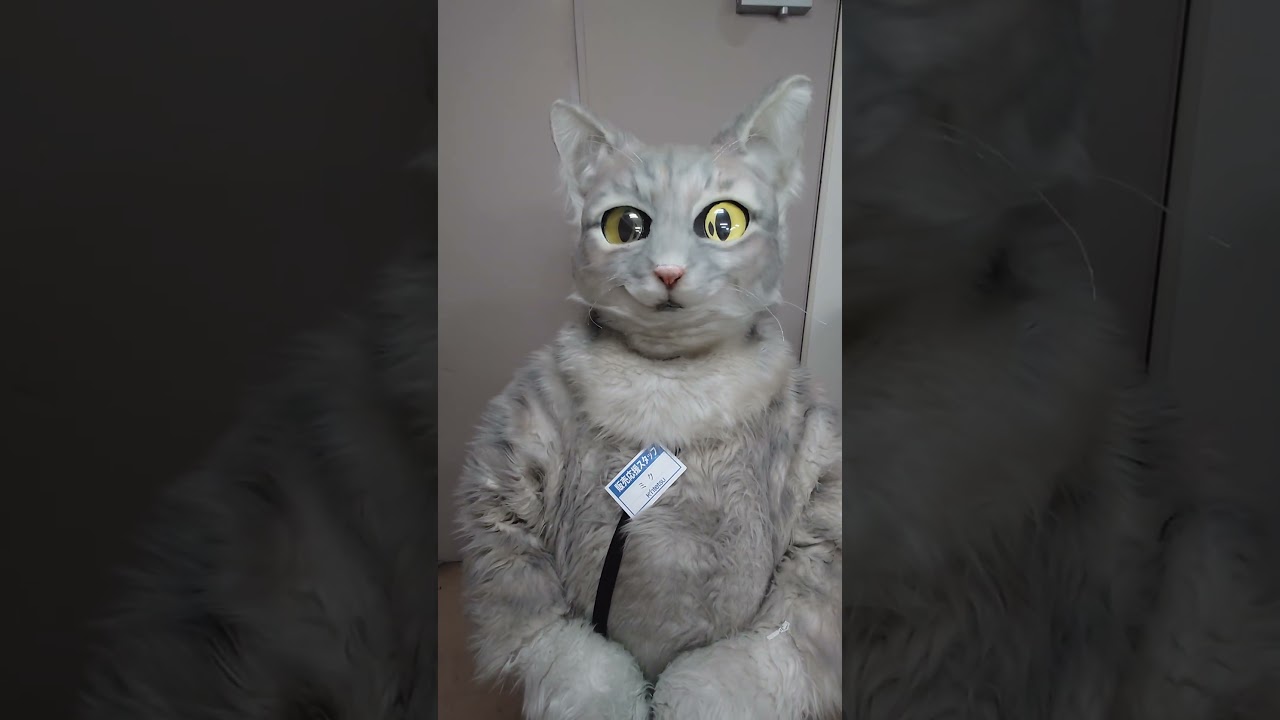 近鉄百貨店草津店5日目の朝です✨今日は晴れ☀