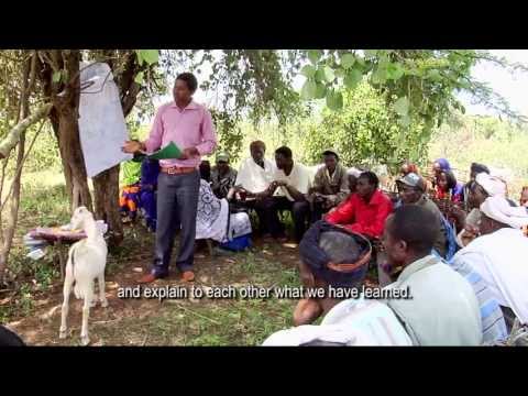 'Schools without walls' - (Agro)pastoralist field schools in the Horn of Africa