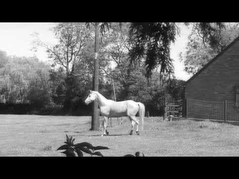 Misty Bywater - Improvisation 1