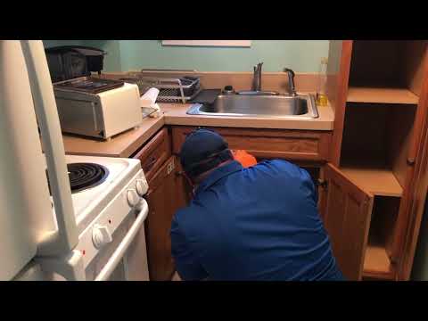 Eliminating the Cockroaches in the Apartment in Howell, NJ