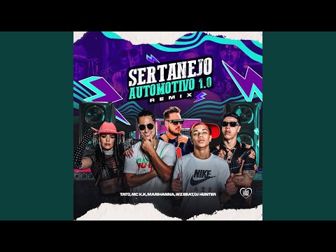 Sertanejo Automotivo 1.0 (Remix)