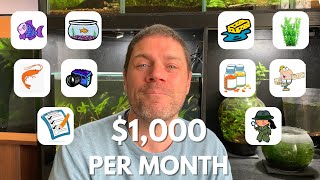 10 Aquarium Side Hustles: Making $1,000 a month from your aquariums