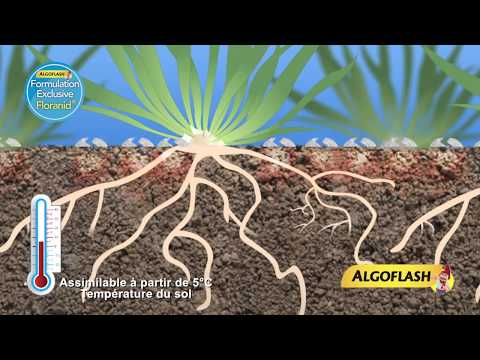 download lagu mp3 mp4 Aldi Engrais Gazon, download lagu Aldi Engrais Gazon gratis, unduh video klip Aldi Engrais Gazon
