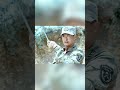 Wolf Warrior Movie