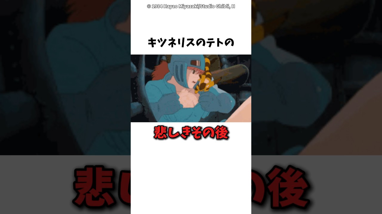 【風の谷のナウシカ】キツネリスのテトのその後　#ジブリ　#風の谷のナウシカ