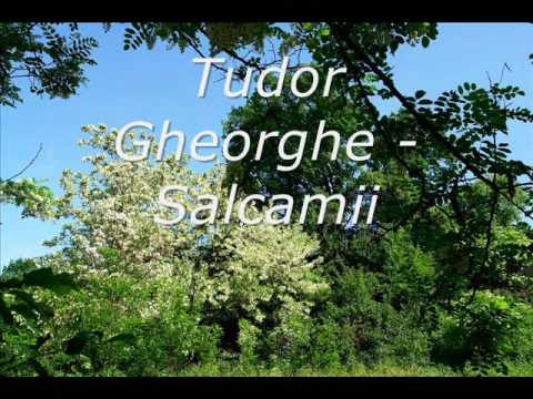 Tudor Gheorghe - Salcamii(The Willows)+Lyrics