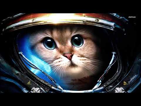 Robson/RepcaK/Lisiak - Temat rzeka (rege stajl)