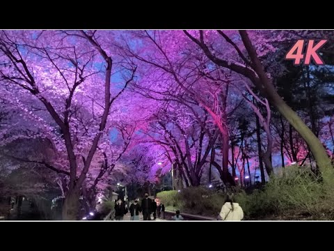 [4K] Local de filmagem da proposta comercial: Caminhando no Freedom Park, Incheon, Coreia do Sul