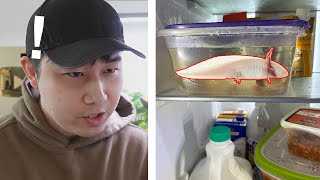 these unhinged pet keepers have crossed the line | Fish Tank Review 260