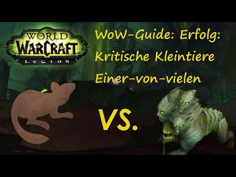 WoW-Guide: Erfolg: Kritische Kleintiere - Einer-von-vielen