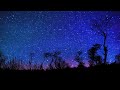 Free Night Sky Stars Falling Animation Background Video Download